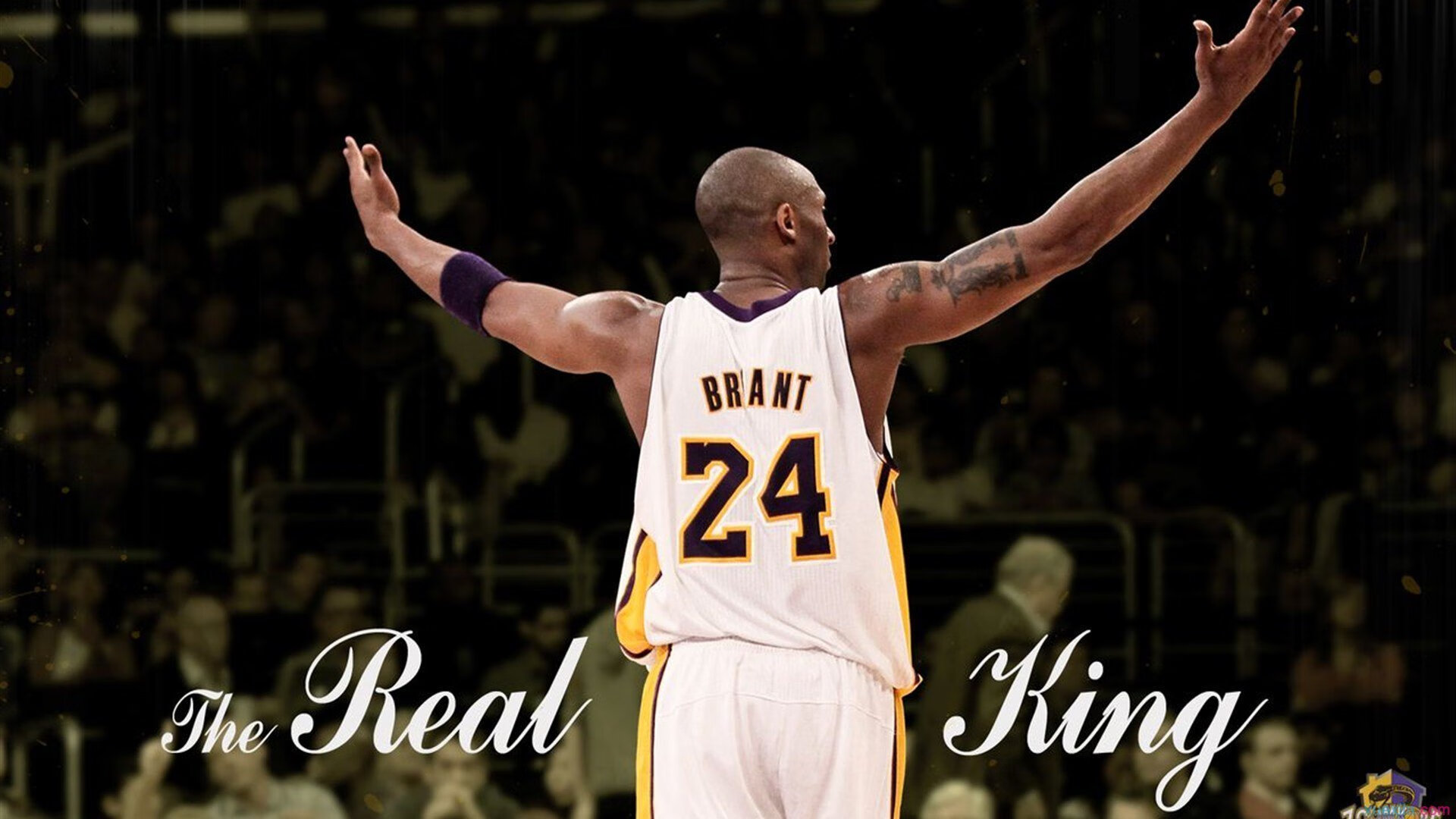 掘金训练时间调整以适应多时区比赛节奏，掘金玩法