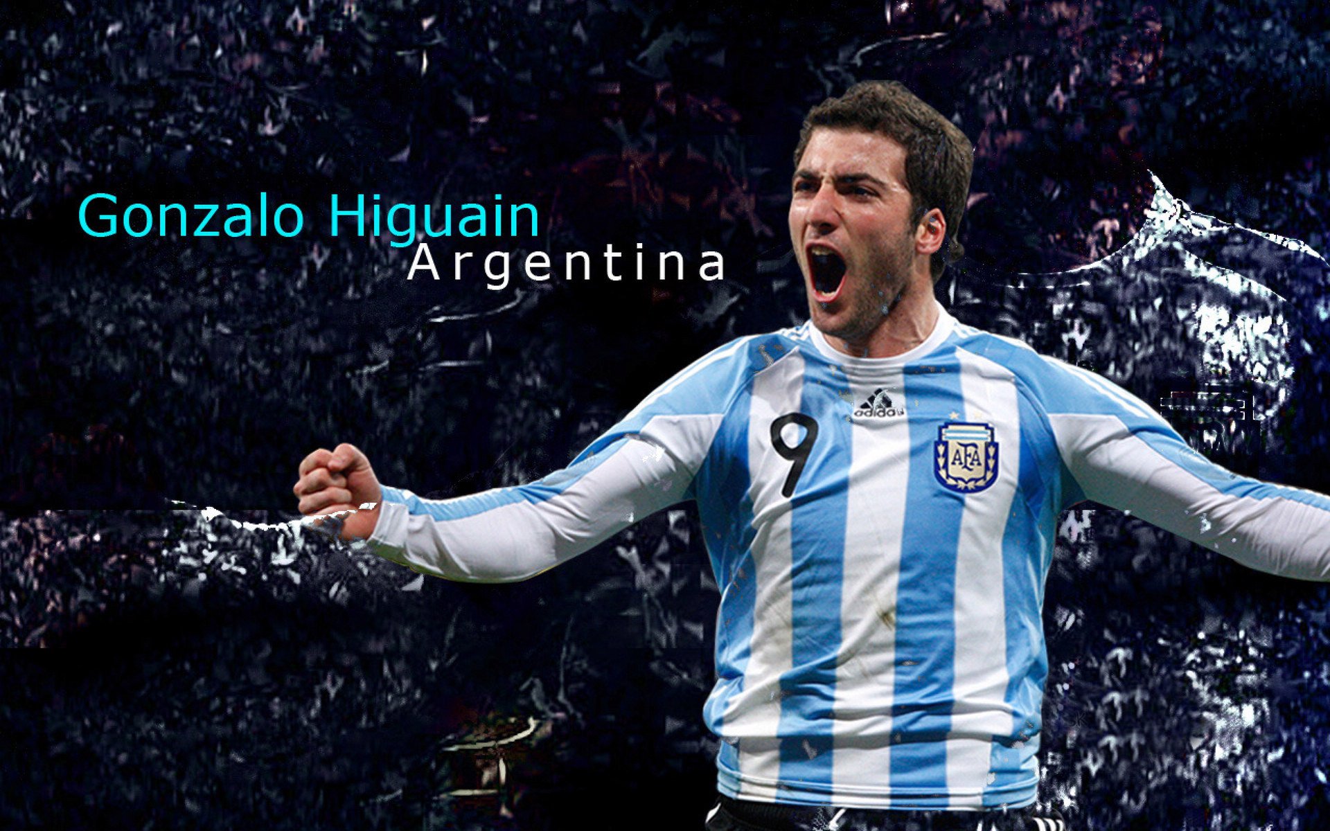 新西兰橄榄球赛事在全球范围内的转播权价值大增，新西兰橄榄球队徽